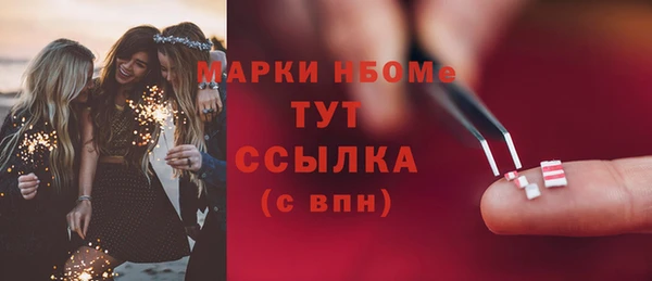 соль ск Новозыбков