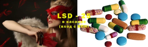 PSILOCYBIN Вуктыл