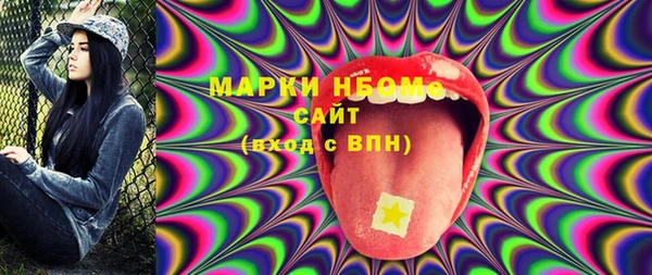 соль ск Новозыбков