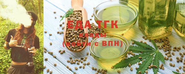соль ск Новозыбков