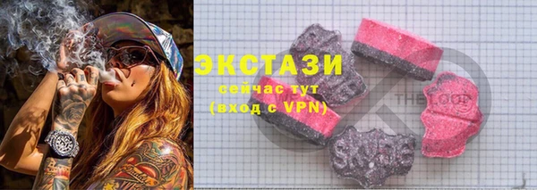 соль ск Новозыбков