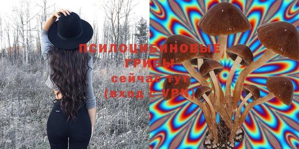 соль ск Новозыбков